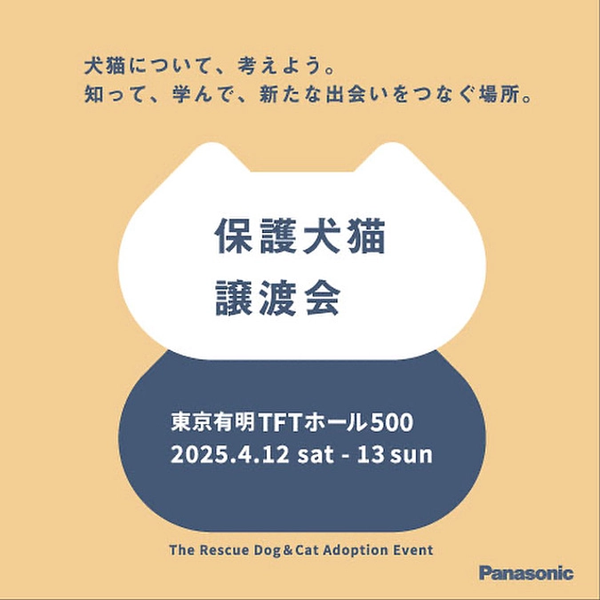 今週末は連続譲渡会！