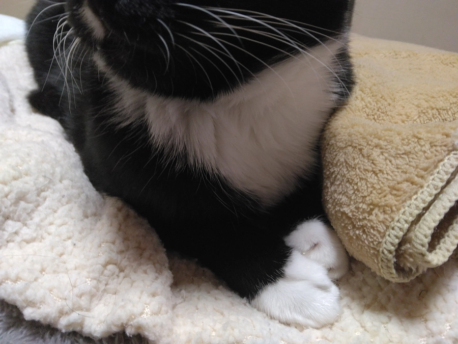 4/14はなちゃんの様子