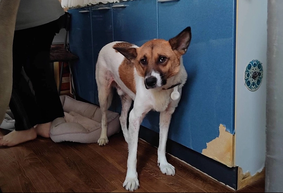 今日も元気なレーベンっ子たち