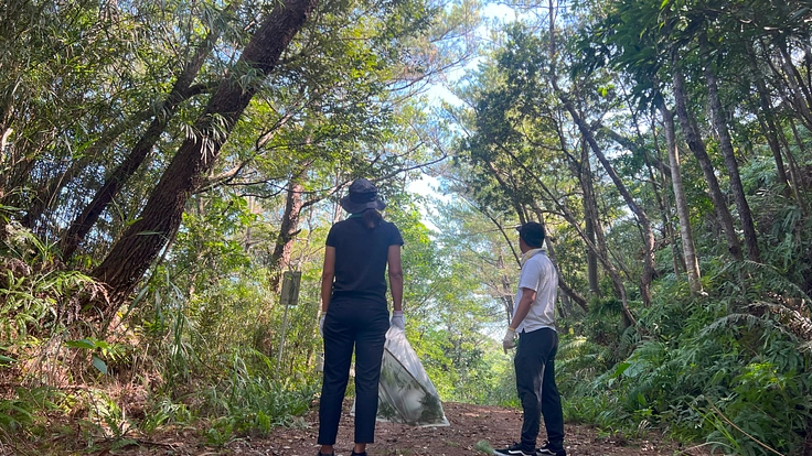 世界自然遺産やんばるの豊かな自然を後世に残していくため、ご支援を！ 7枚目