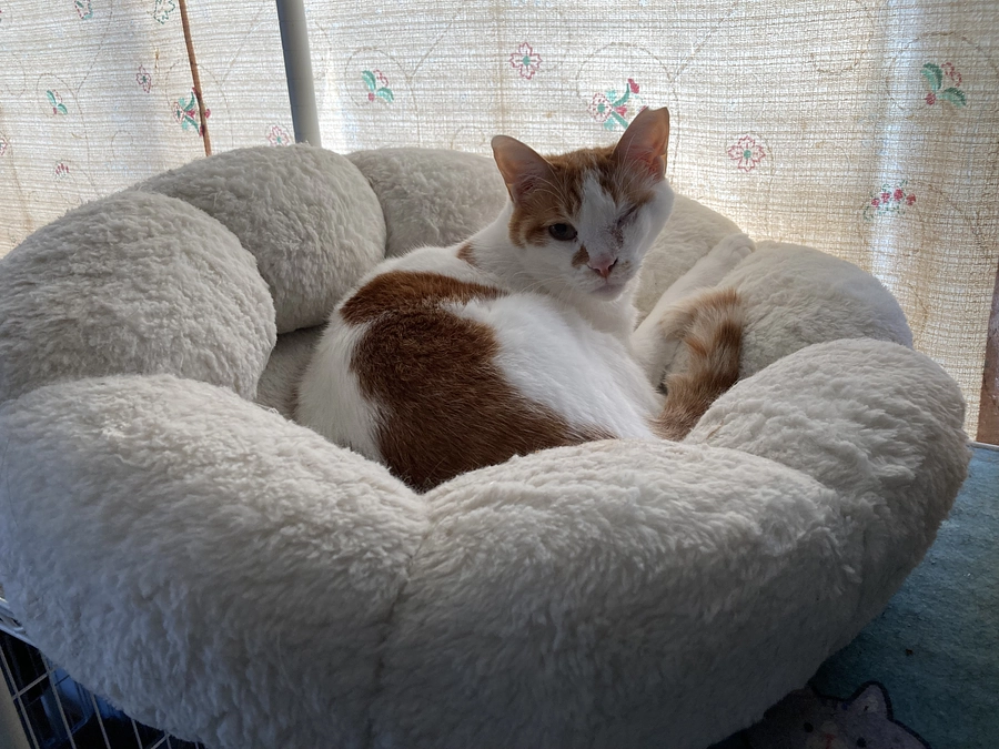 ネクストゴール達成のお礼