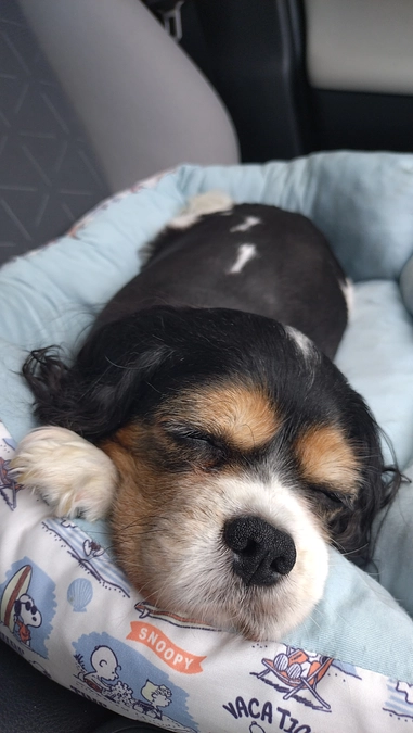 9月29日、30日、10月１日かかりつけ受診