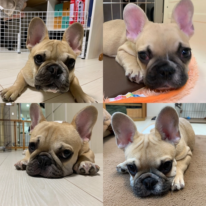 ご支援ありがとうございました💖達成できました💖