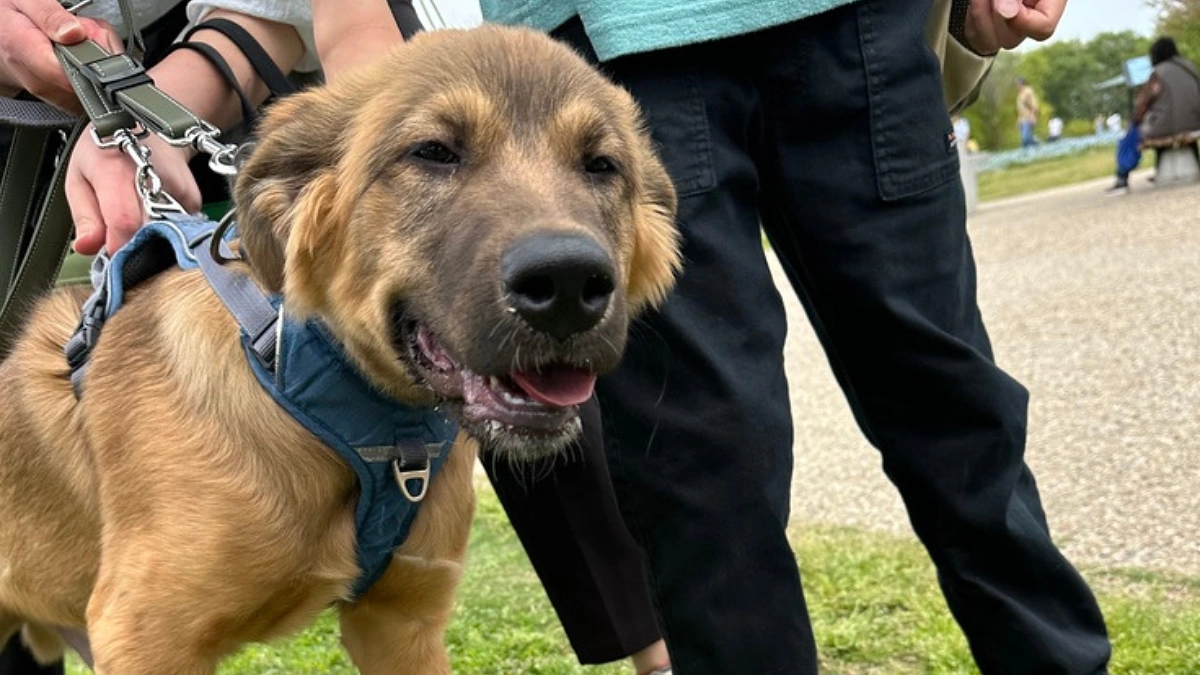 乳飲子も引き取りをしています