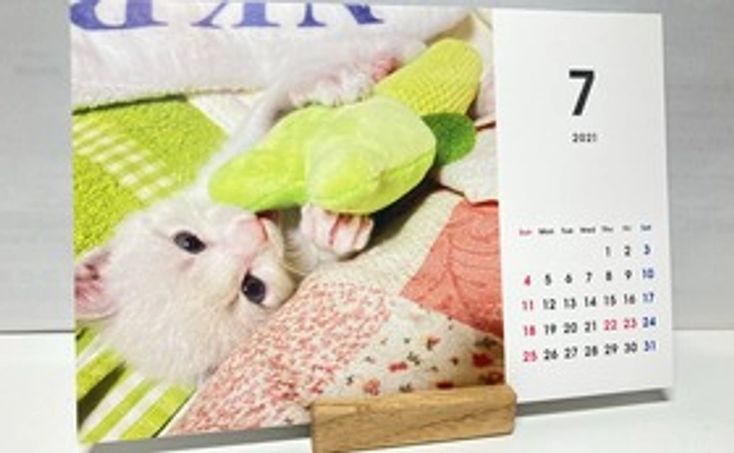 「猫のしらす」卓上カレンダー