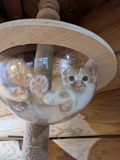 残暑お見舞い申し上げます。