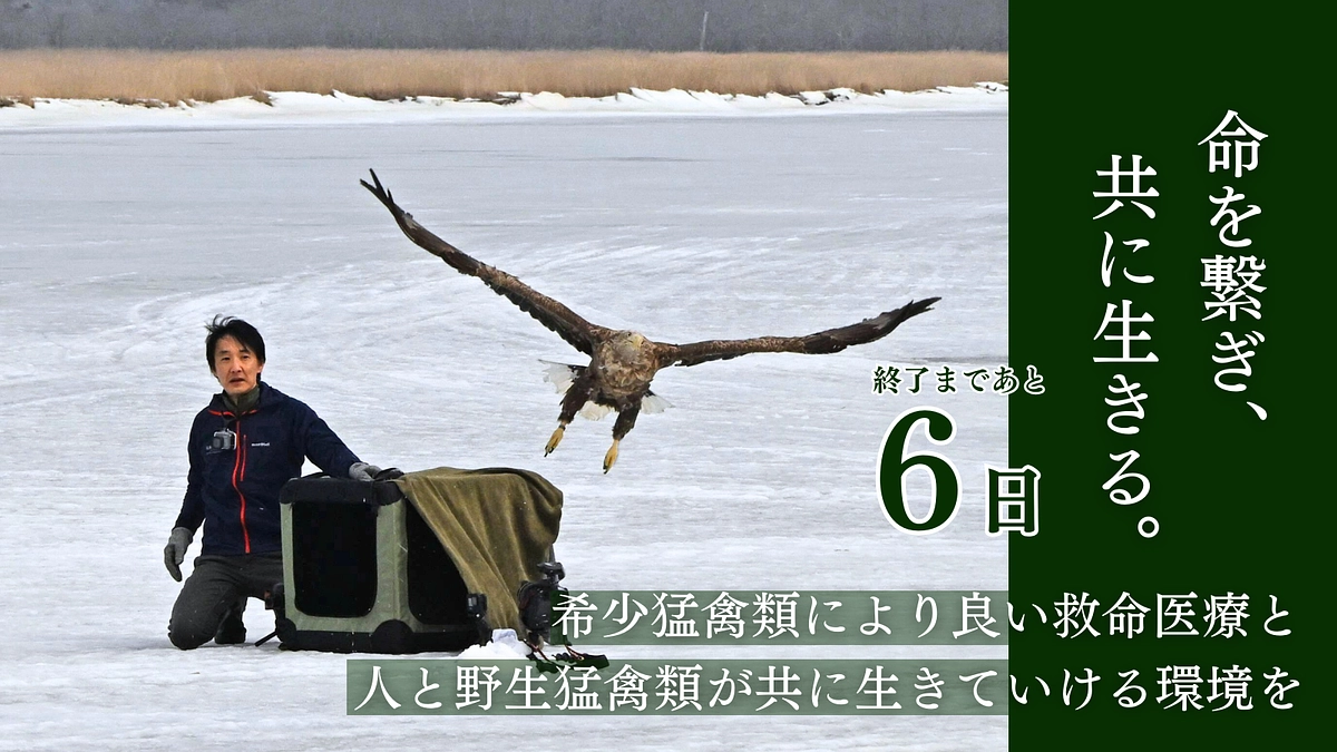【残り6日！】あたたかい応援をありがとうございます