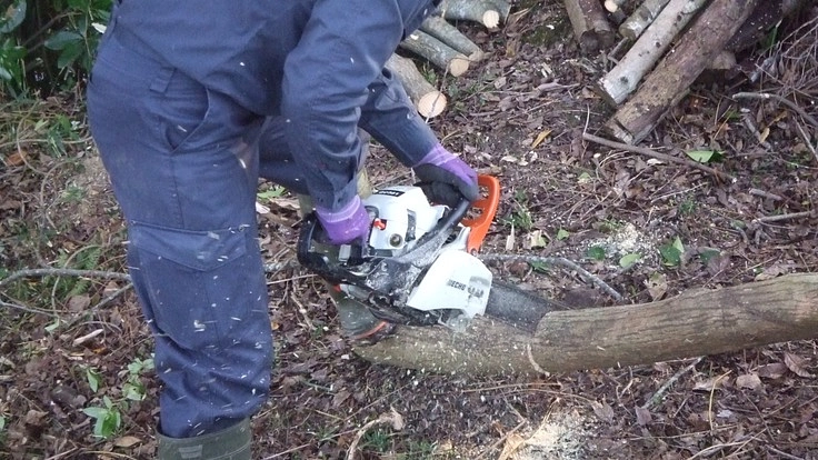 淡路島の農業と里山守り、活性化させたい!!