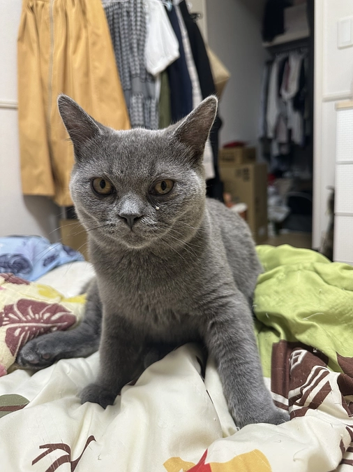 投薬治療を始めて71日目