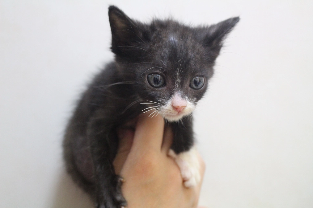 公開から5日目となりました。