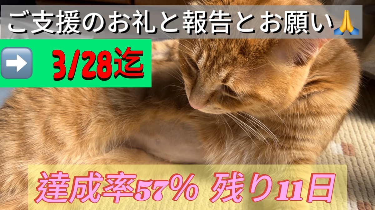 ご支援のお礼と報告とお願い（3/17）