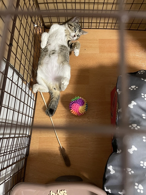 寝落ちしてしまいました