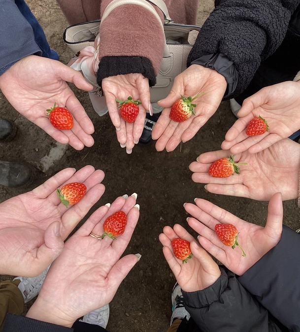 【活動報告㉘】今年最後の活動報告です