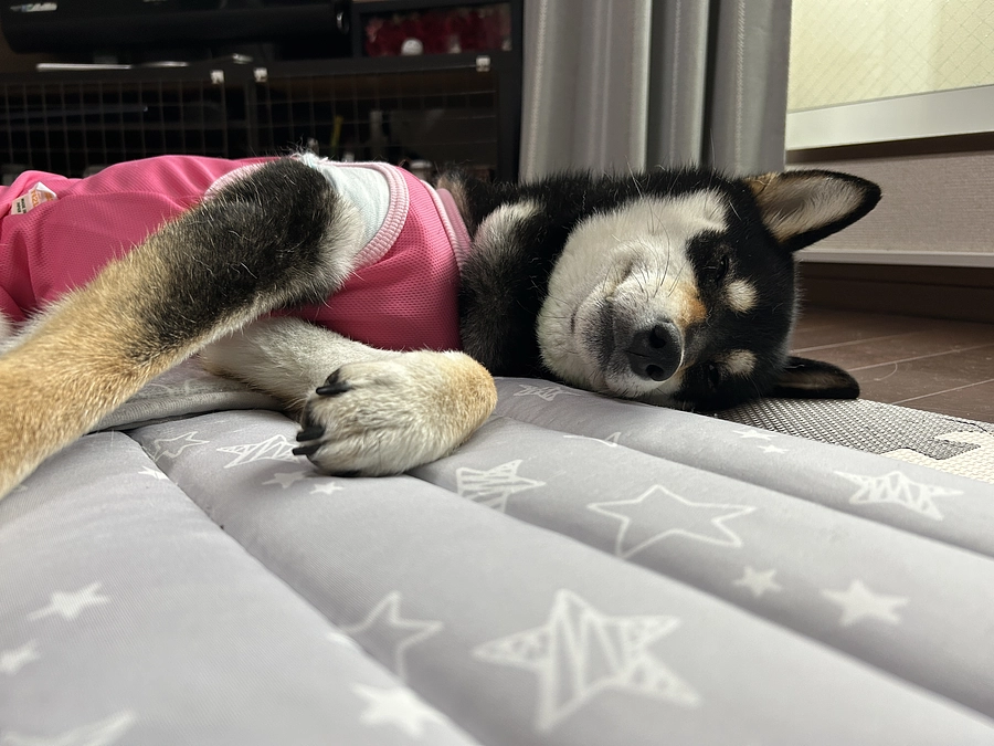 インスタ開設しました！