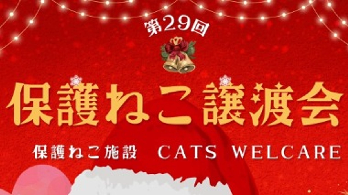 新しい家族のもとへ【譲渡会のお知らせ】