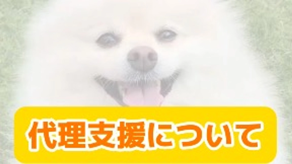 代理支援について