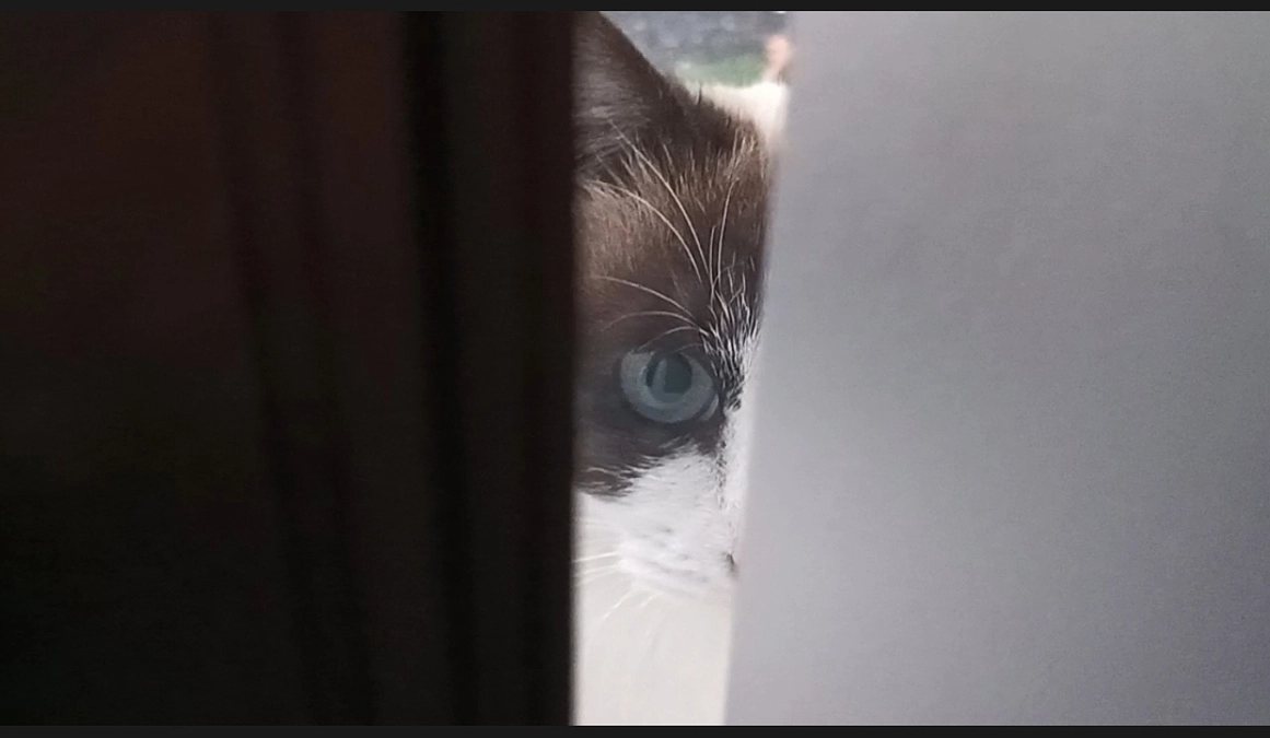 おはようございます☀