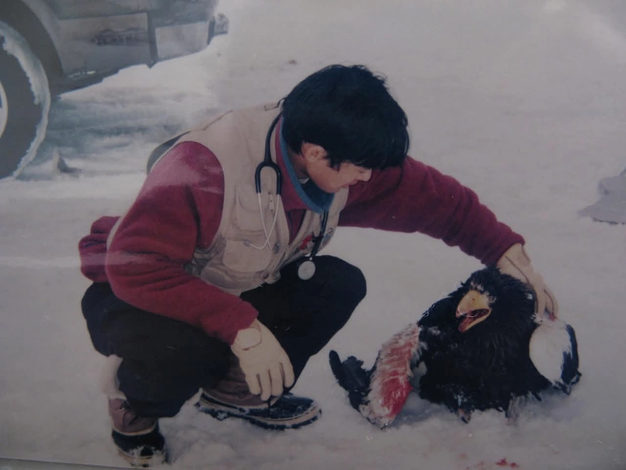 新しいクラウドファンディングが始まっています