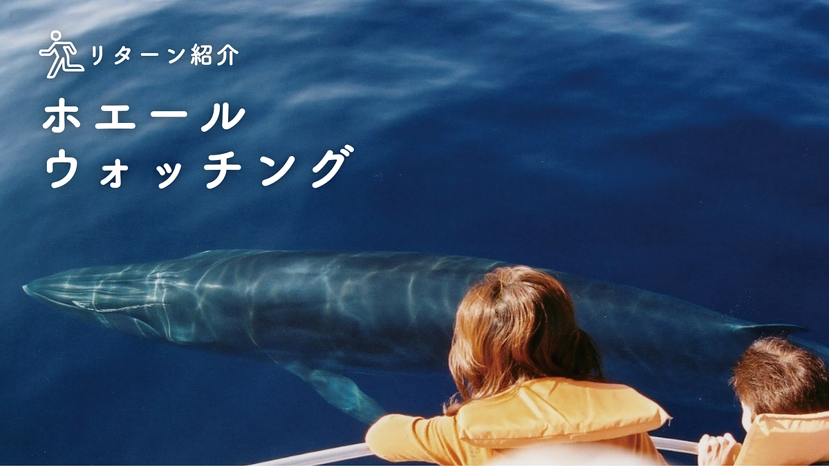【リターン紹介①】黒潮町ホエールウォッチング