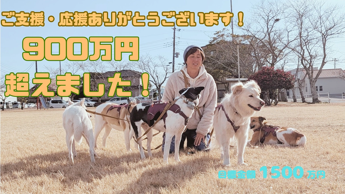 【900万円】まで到達しました！  目指せ！2月27日までに1000万円！皆さんの応援を力に走り切り