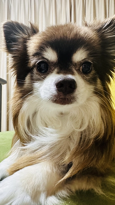 お薬追加で出してもらいました😥