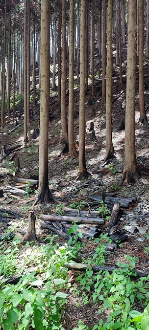 エリマネ班の岩手県出張について②