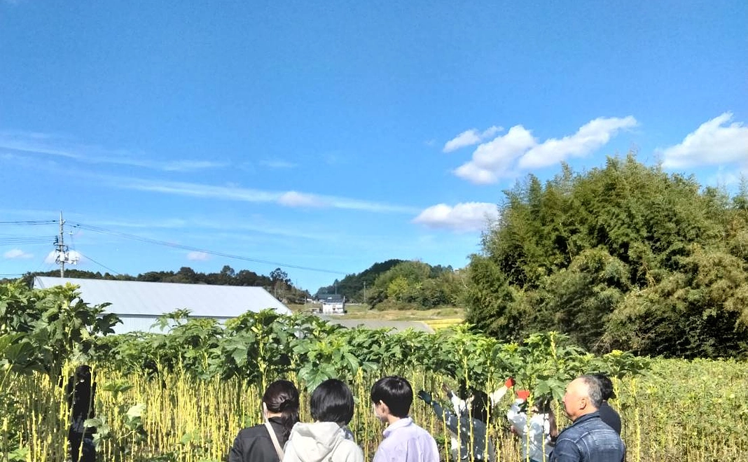 久米南町1日満喫プラン