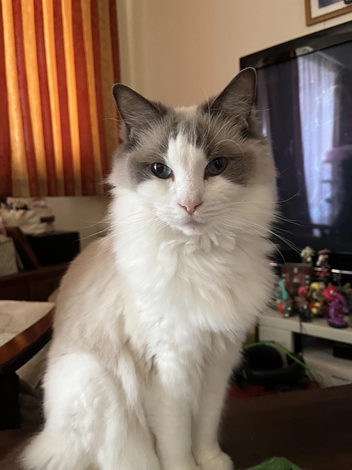 0524の血液検査結果(腎機能項目のみ)聞きました