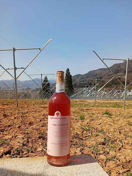 ご支援いただいた皆様への感謝と報告、そして忘れ物です