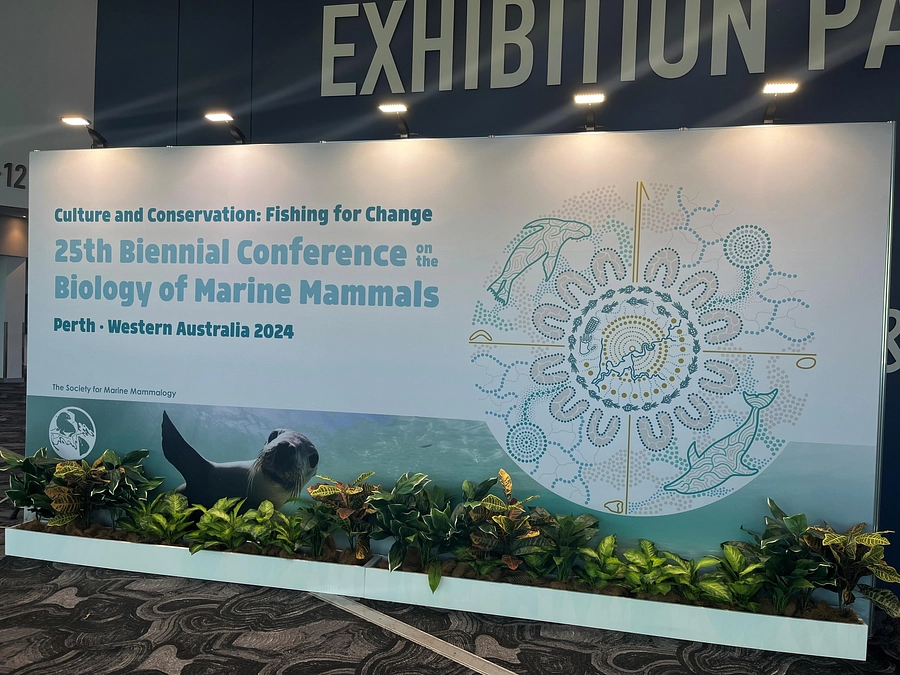 国際海棲哺乳類学会2024＠パース，オーストラリアの報告