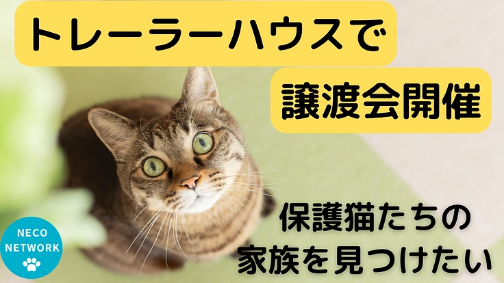 保護猫との出会いの場を広げるために│トレーラーで譲渡会場を作りたい