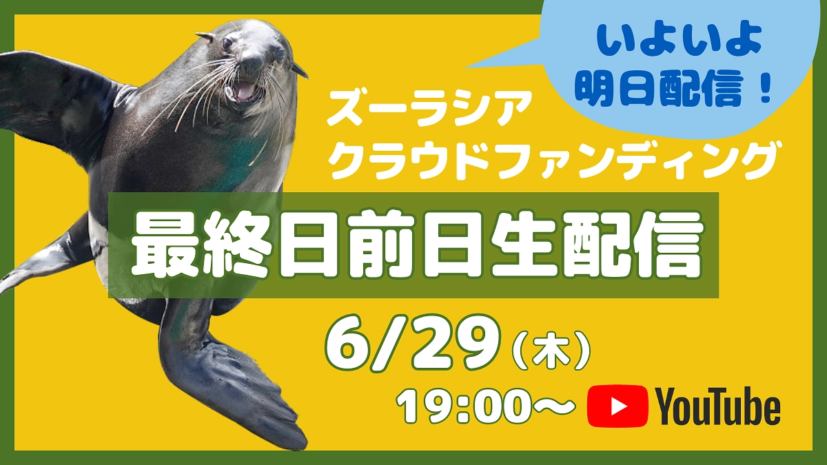 いよいよ明日配信！【6/29(木)19:00~｜最終日前日ライブ配信のお知らせ】
