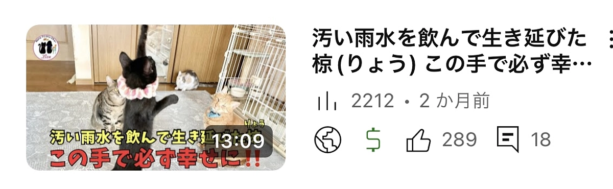 汚い雨水を飲んで生き延びた子を必ず幸せに