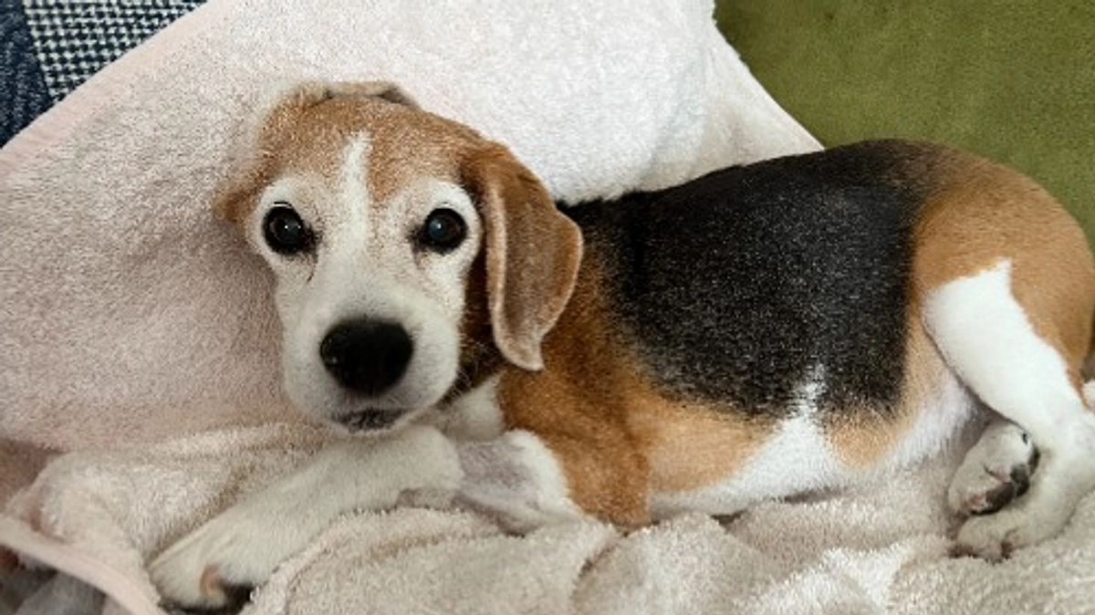 10/7 【ご報告】ネクストゴールの審査が通りました