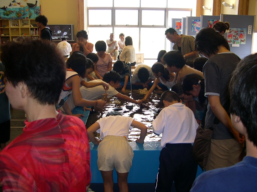 とっとり賀露かにっこ館は昨年、開館２０周年を迎えました