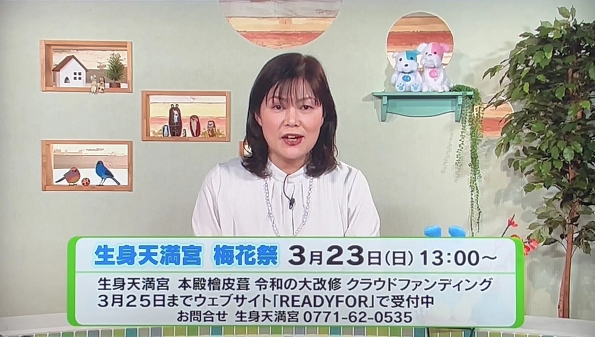 梅が咲き始め。CFは残り５日間です！