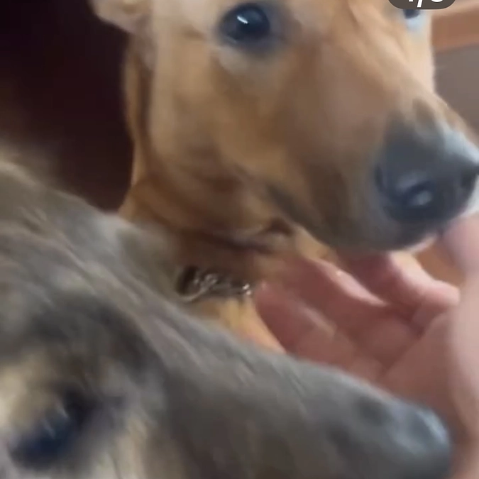 目標の75%に。ありがとうございます。チラシ設置の協力店さま①海に近い編 