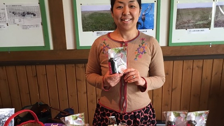 北海道石狩浜のハマナスの花と実からハーブティーを作りたい！