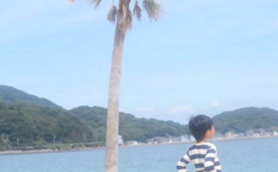 写真付お礼メール