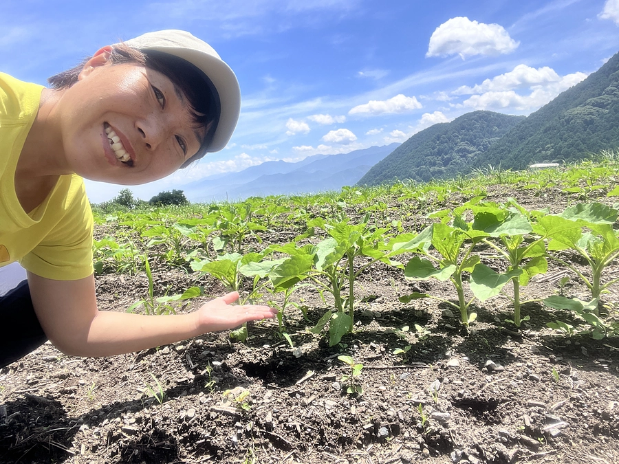 スタートダッシュ多くの支援、ありがとうございます！