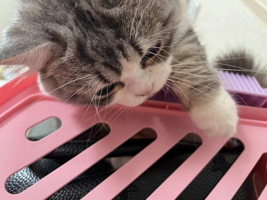 治療26日目のココロ