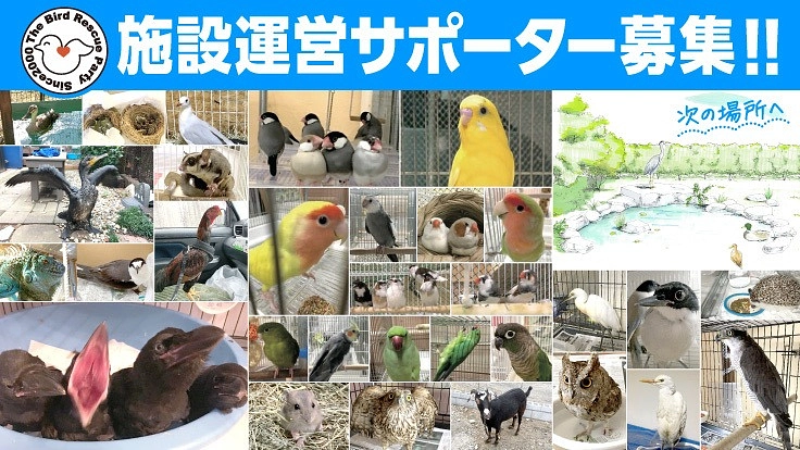 鳥たちの命を繋ぐ居場所をこれからも|小鳥レスキュー会サポーター募集