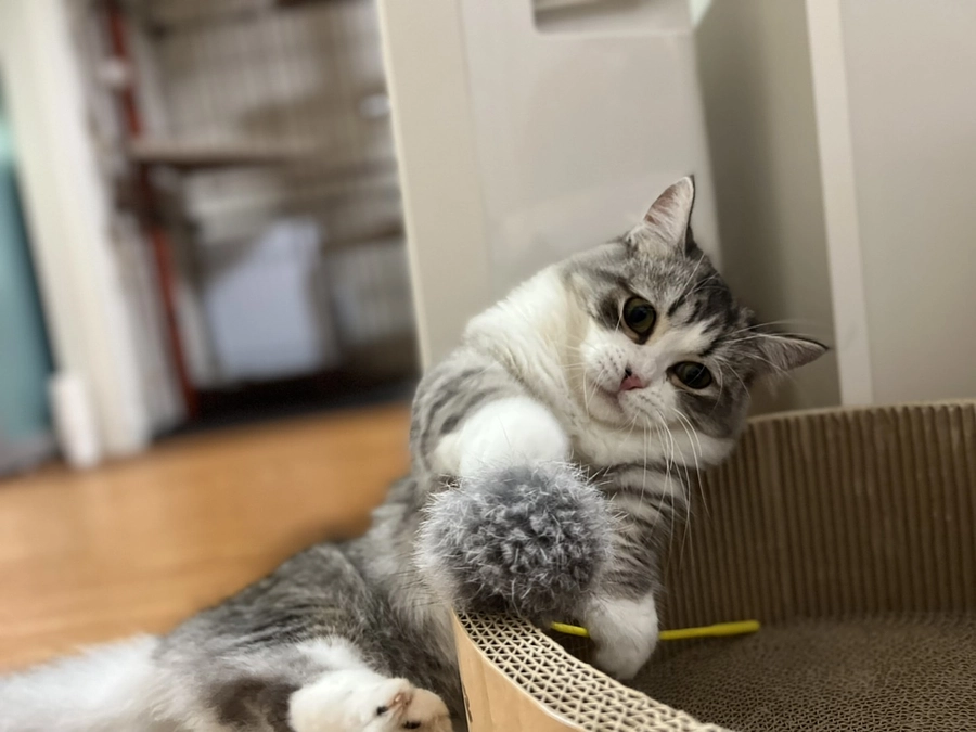 治療26日目投薬治療とお薬代の詳細