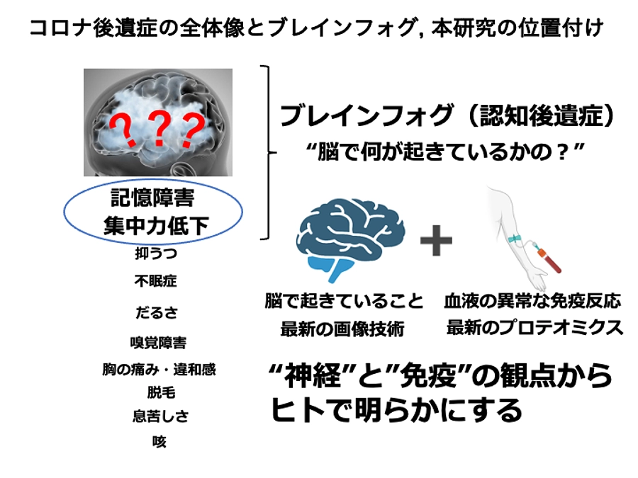 みんなが安心できるpost/with コロナ社会のために研究を進めます。