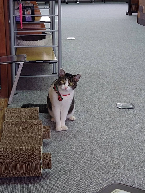 クリスマスご支援ありがとうございます