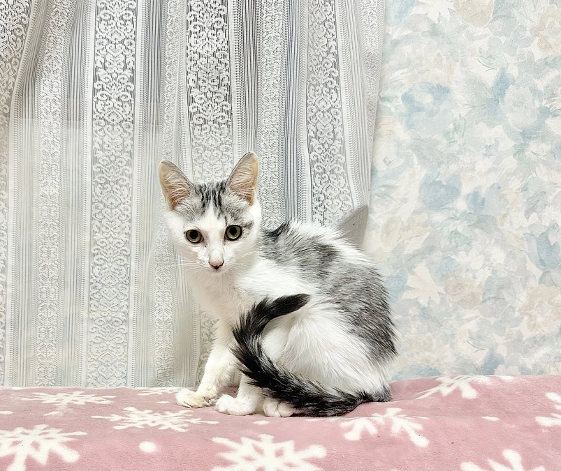 今日の輝ちゃん 