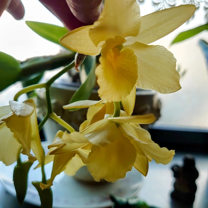 卒業おめでとうございます