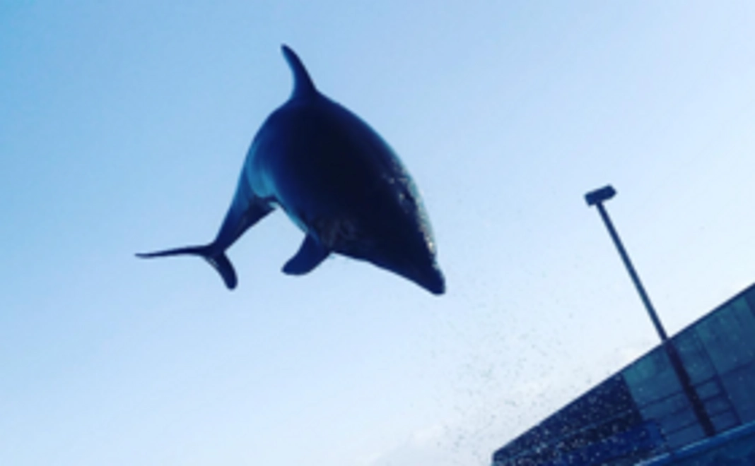 【お気持ちコース】