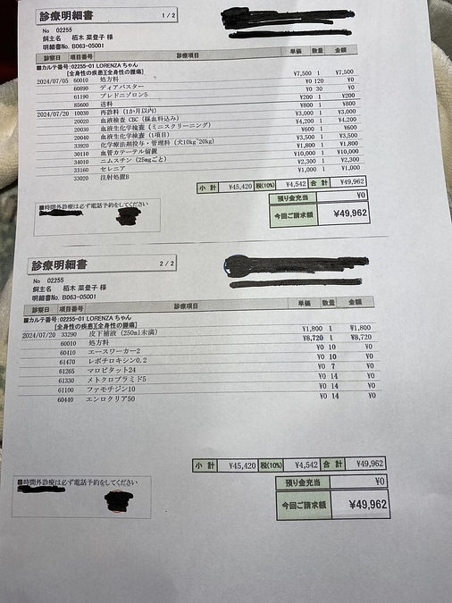 7月抗がん剤治療実施しました　