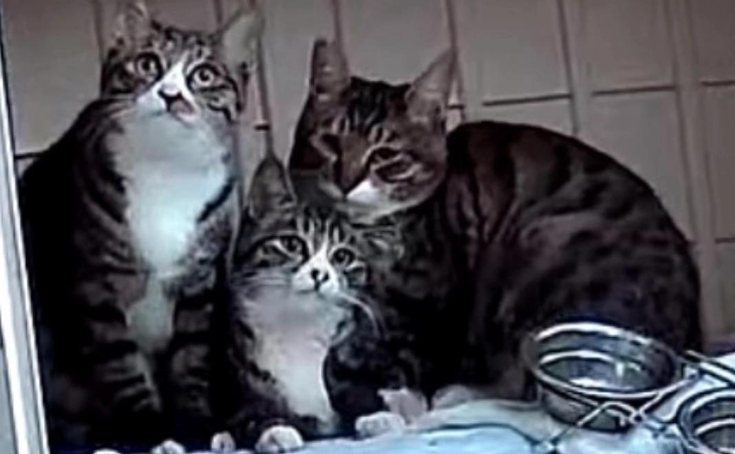 心からお礼のメール２